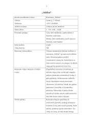 Vilniaus maitinimo įmonių (restoranų ir kavinių) analizė 7 puslapis