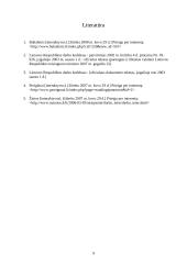 Darbo keliose darbovietėse darbo laiko ypatumai 9 puslapis