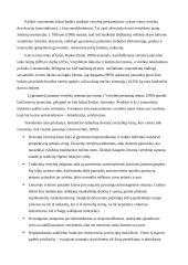 Dorovinio auklėjimo problematika 3 puslapis