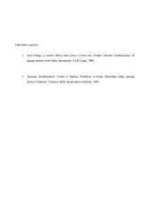 Jose Ortegos y Gasseto meno teorija 4 puslapis