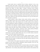 Skurde augantys vaikai 2 puslapis