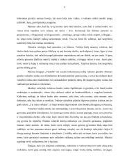 Valstybė - filosofų požiūriai 4 puslapis