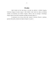 Valstybė - filosofų požiūriai 9 puslapis