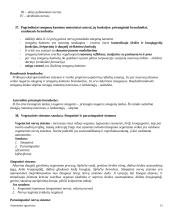 Anatomijos pagrindai 13 puslapis