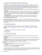 Anatomijos pagrindai 15 puslapis