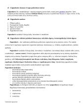 Anatomijos pagrindai 16 puslapis