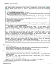 Anatomijos pagrindai 17 puslapis