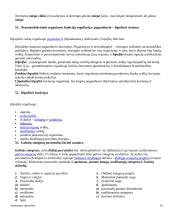 Anatomijos pagrindai 18 puslapis