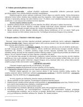 Anatomijos pagrindai 3 puslapis