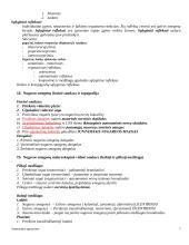 Anatomijos pagrindai 7 puslapis