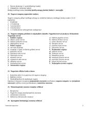 Anatomijos pagrindai 8 puslapis