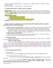 Anatomijos pagrindai 9 puslapis