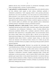 Andragogikos mokslas 2 puslapis