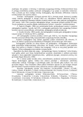 Andragogikos istorija 3 puslapis