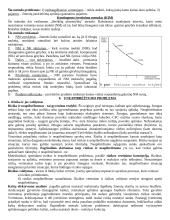 Aplinkosaugos esmė 11 puslapis