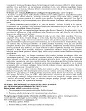 Aplinkosaugos esmė 13 puslapis