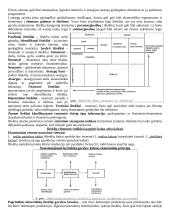Aplinkosaugos esmė 20 puslapis