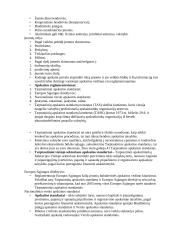 Apskaitos pradmenys 2 puslapis