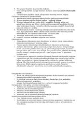 Apskaitos pradmenys 15 puslapis