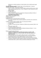 Apskaitos pradmenys 17 puslapis