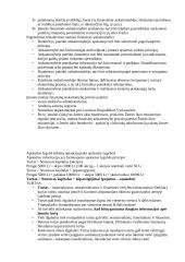 Apskaitos pradmenys 9 puslapis