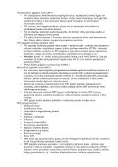 Apskaitos pradmenys 10 puslapis