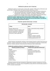 Bendroji buhalterinės apskaitos charakteristika 2 puslapis