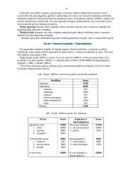 Bendroji buhalterinės apskaitos charakteristika 11 puslapis