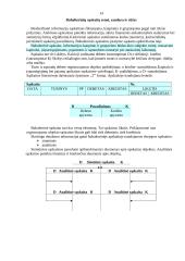 Bendroji buhalterinės apskaitos charakteristika 12 puslapis
