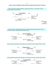 Bendroji buhalterinės apskaitos charakteristika 14 puslapis