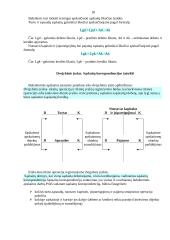 Bendroji buhalterinės apskaitos charakteristika 16 puslapis