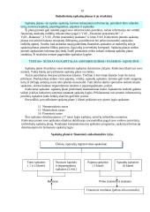 Bendroji buhalterinės apskaitos charakteristika 17 puslapis