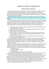 Bendroji buhalterinės apskaitos charakteristika 19 puslapis