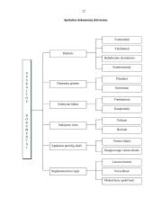 Bendroji buhalterinės apskaitos charakteristika 20 puslapis