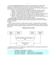 Bendroji buhalterinės apskaitos charakteristika 3 puslapis