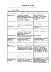 Bendroji buhalterinės apskaitos charakteristika 4 puslapis