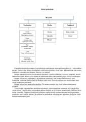 Bendroji buhalterinės apskaitos charakteristika 5 puslapis