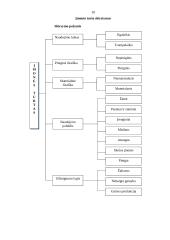 Bendroji buhalterinės apskaitos charakteristika 8 puslapis