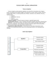 Bendroji buhalterinės apskaitos charakteristika 9 puslapis