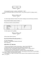 Atvirkštinė samprotavimų grandinė 12 puslapis