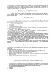 Viskas apie auditą 2 puslapis