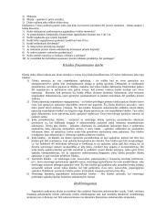 Viskas apie auditą 3 puslapis