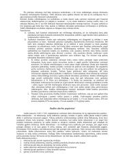 Viskas apie auditą 4 puslapis