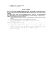 Viskas apie auditą 5 puslapis