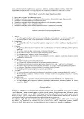 Viskas apie auditą 7 puslapis