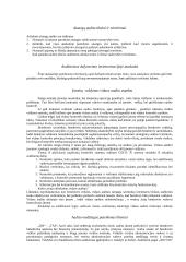 Viskas apie auditą 8 puslapis