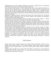 Audito istorija 3 puslapis