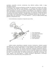 Automobiliai ir pagrindinės jų dalys 12 puslapis