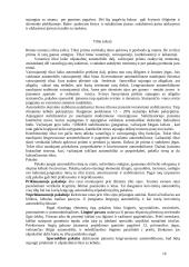 Automobiliai ir pagrindinės jų dalys 16 puslapis