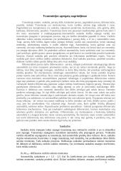 Automobiliai ir pagrindinės jų dalys 3 puslapis